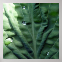 Water Channel Print