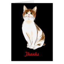 Water Colour White & Orange Staring Cat Greeting Cards