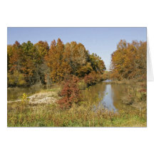 Water control dam and autumn trees greeting cards