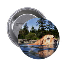 Water Dog - Button