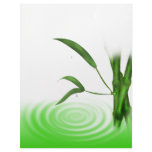 Water drop water ripple bamboo plants  Letterhead