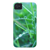 Water Droplets on Grass iPhone 4 Case-Mate Case
