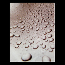 Water Drops postcards
