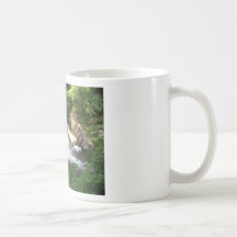 WATER FALLS AT CRAB TREE FALLS VA COFFEE MUG