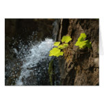 Water Falls Greeting Card