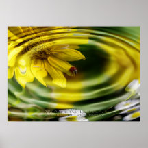 water flora plakate