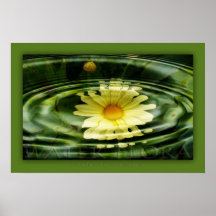 water flora poster