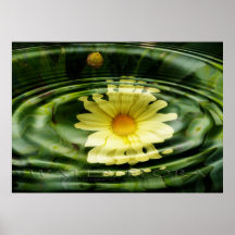 water flora posterdruck