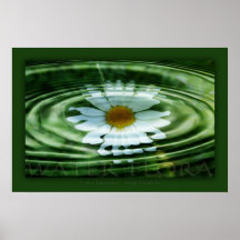 water flora posterdrucke