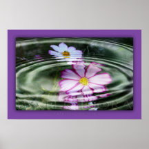 water flora posters