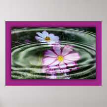 water flora posters