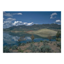 Water In A Highland Personalized Invites