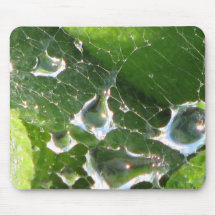 Water in a spider web mouse pad