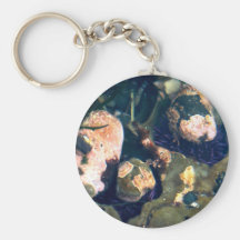Water Life Key Chain