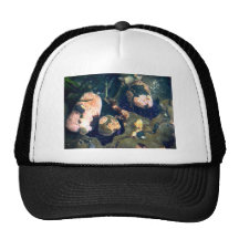 Water Life Mesh Hat