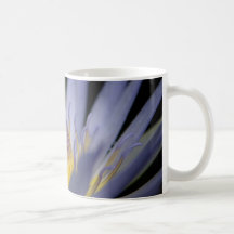 water liily mug