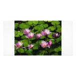 Water lilies customized photo card