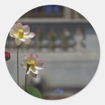 Water Lillies Lilly Round Sticker
