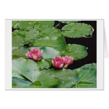 Water Lillies, Monet's House, Giverny, France Card