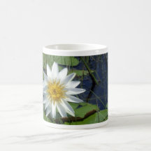 Water Lilly Coffee Mugs