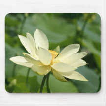 Water lilly flower mouse mats