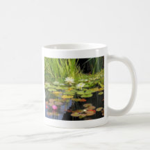 Water Lilly Flowers Coffee Mugs
