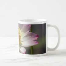 Water Lilly Flowers Mug