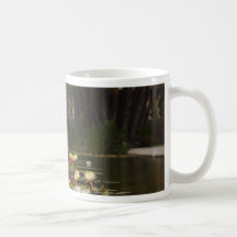Water Lilly Lillies Flowers Coffee Mug