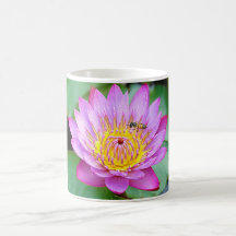 Water Lilly Mug