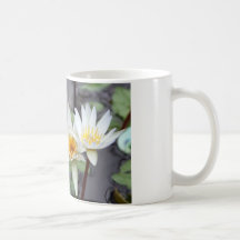 Water Lilly Mugs