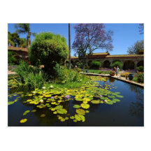 Water Lilly Park Garden Post Cards