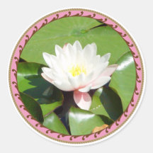 Water Lilly - pink round sticker