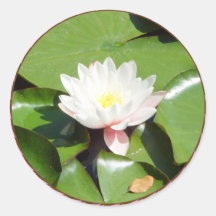 Water Lilly Pink sticker
