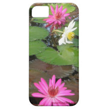 Water Lilly Pond, Figi iPhone 5 Cover