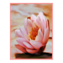 Water Lilly Postcards