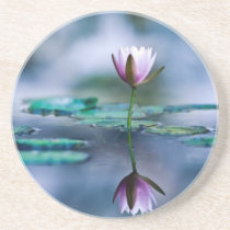 Water Lily coasters