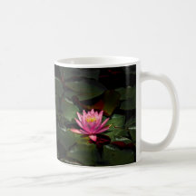 Water Lily Coffee Cup Mugs