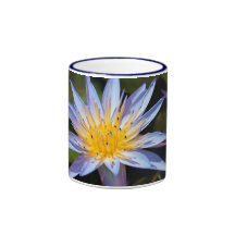 Water Lily Coffee Mug