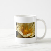 Water Lily Coffee Mugs