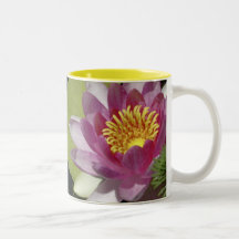 Water Lily Coffee Mugs