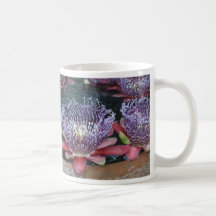 Water lily flowers mug