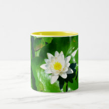 Water Lily Lotus Mugs