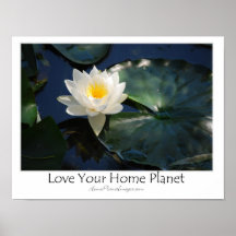 Water Lily / Love Your Home Planet Posters