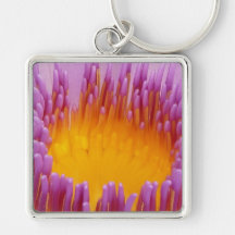 Water Lily Macro Key Chains