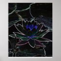 water lily outline posters