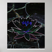 water lily outline posters
