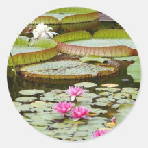 Water Lily Pads Ponds Stickers