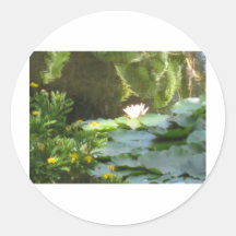 Water Lily Pond Sticker