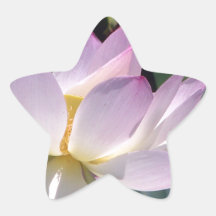 Water Lily Sticker