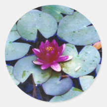 Water Lily Stickers